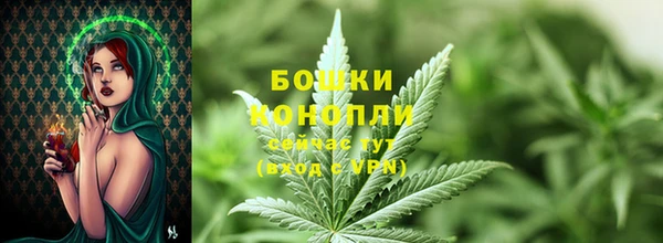 индика Арсеньев