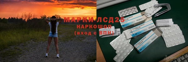 индика Арсеньев