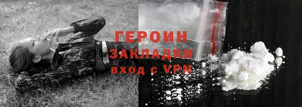 индика Арсеньев